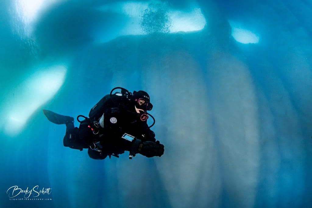 668553008_10165416005388352_7052788759643179504_n