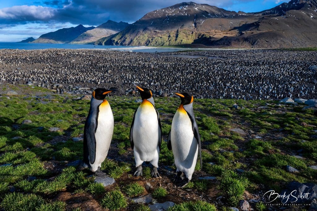 669388086_10165415986183352_3181481623583580265_n